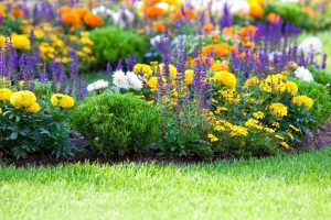 Flower Garden - Summerhill Bungalow