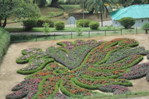 Botanic Gardens - Nuwara Eliya